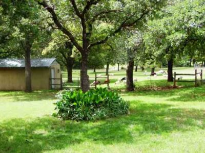 Renewing Old-World Skills with a Modern-Day Twist Image